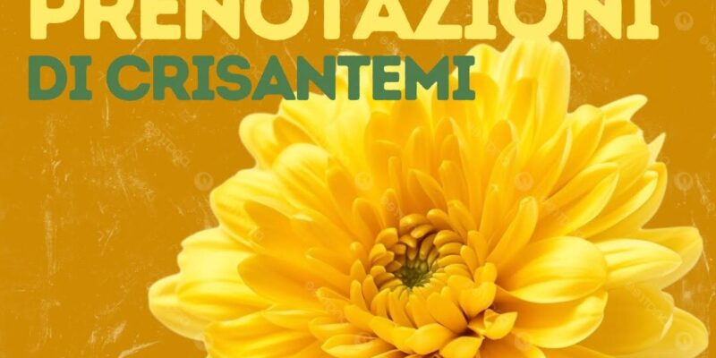 prenotazioni crisantemi e composizioni festa Santi Ognissanti cimitero