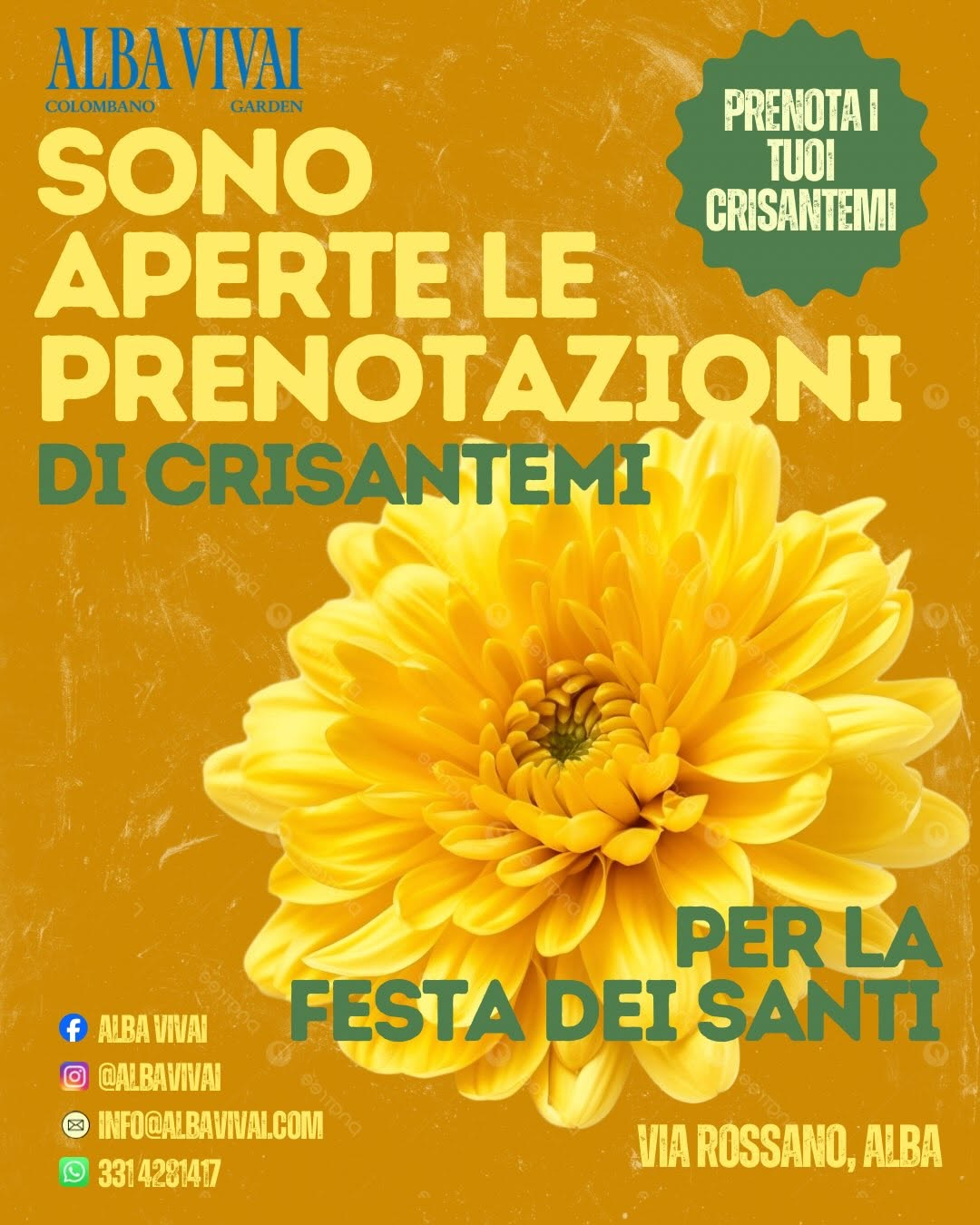 prenotazioni crisantemi e composizioni festa Santi Ognissanti cimitero
